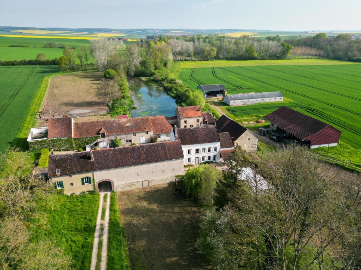 Вилла Le Moulin Neuf Brienon-sur-Armancon Экстерьер фото