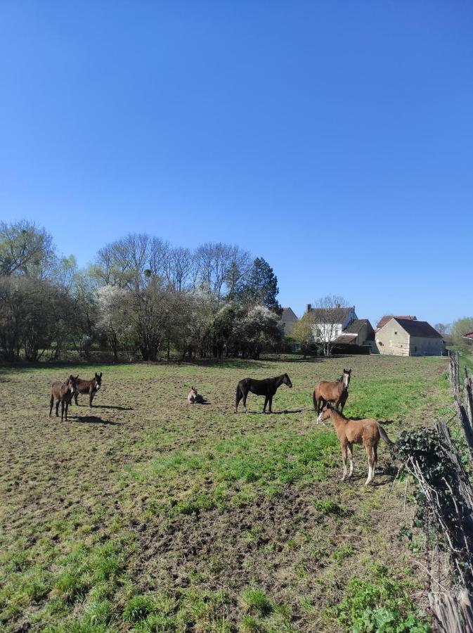 Вилла Le Moulin Neuf Brienon-sur-Armancon Экстерьер фото