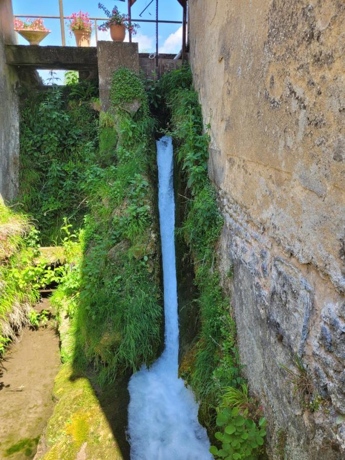 Вилла Le Moulin Neuf Brienon-sur-Armancon Экстерьер фото